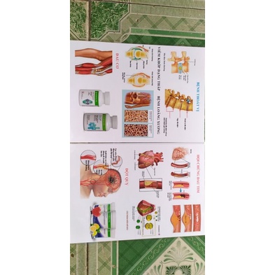 Tờ A4 ép plastic trang trí nhóm dinh dưỡng