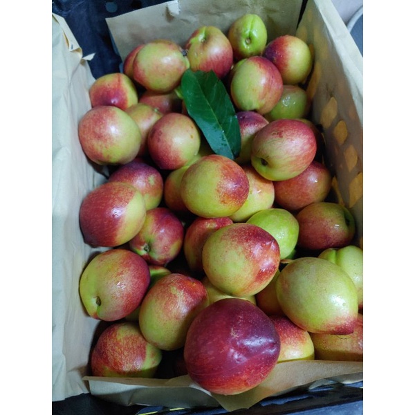 HCM Free Ship - Đào Đỏ Sapa giòn ngọt 1kg