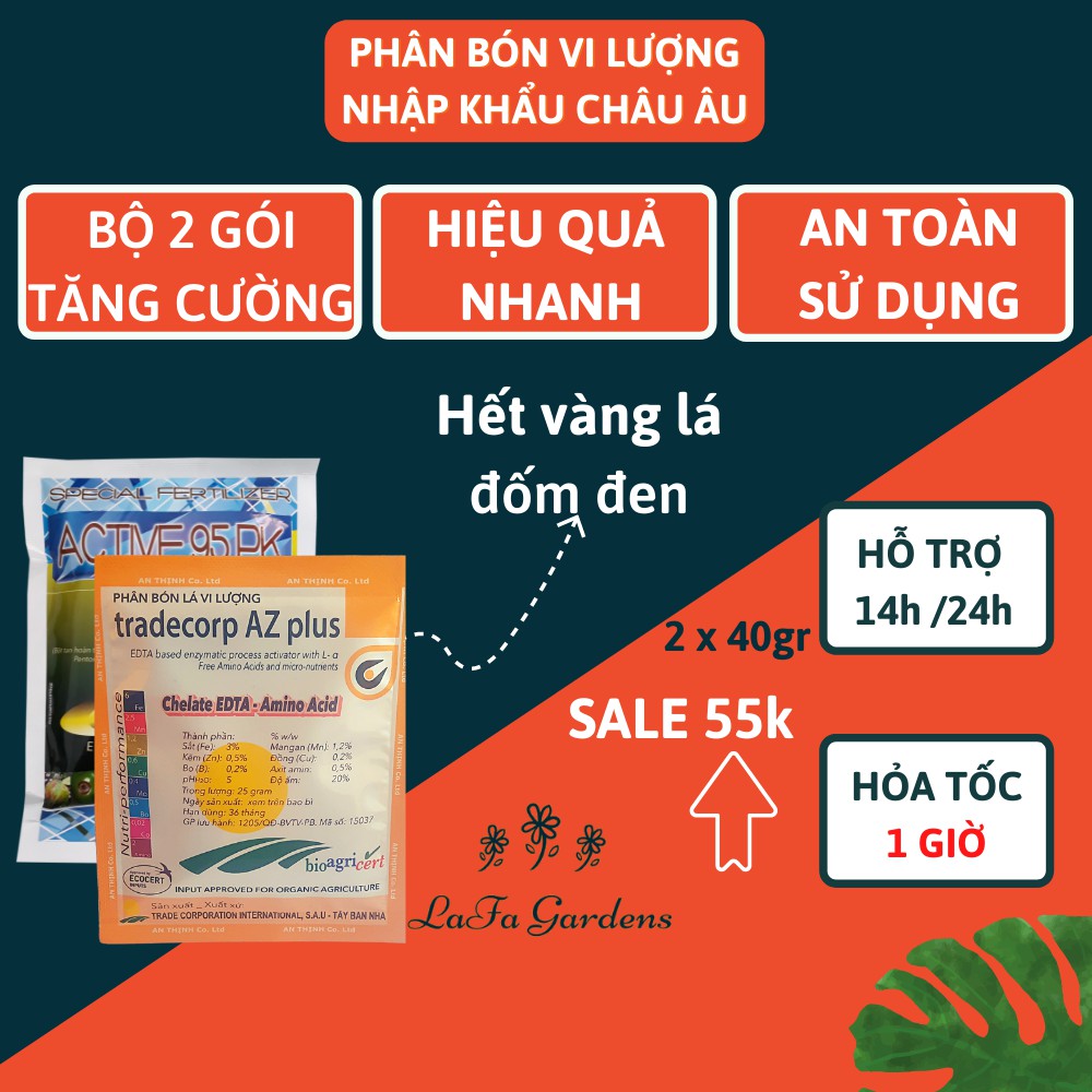 Phân bón phòng vàng lá đốm đen ở hoa hồng - Bộ 2 gói 25gr bổ sung các dưỡng chất vi lượng cho cây trồng phát triển khỏe