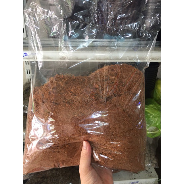 Bán Mụn sơ dừa (1kg) hàng chuẩn, nhập khẩu và phân phối.