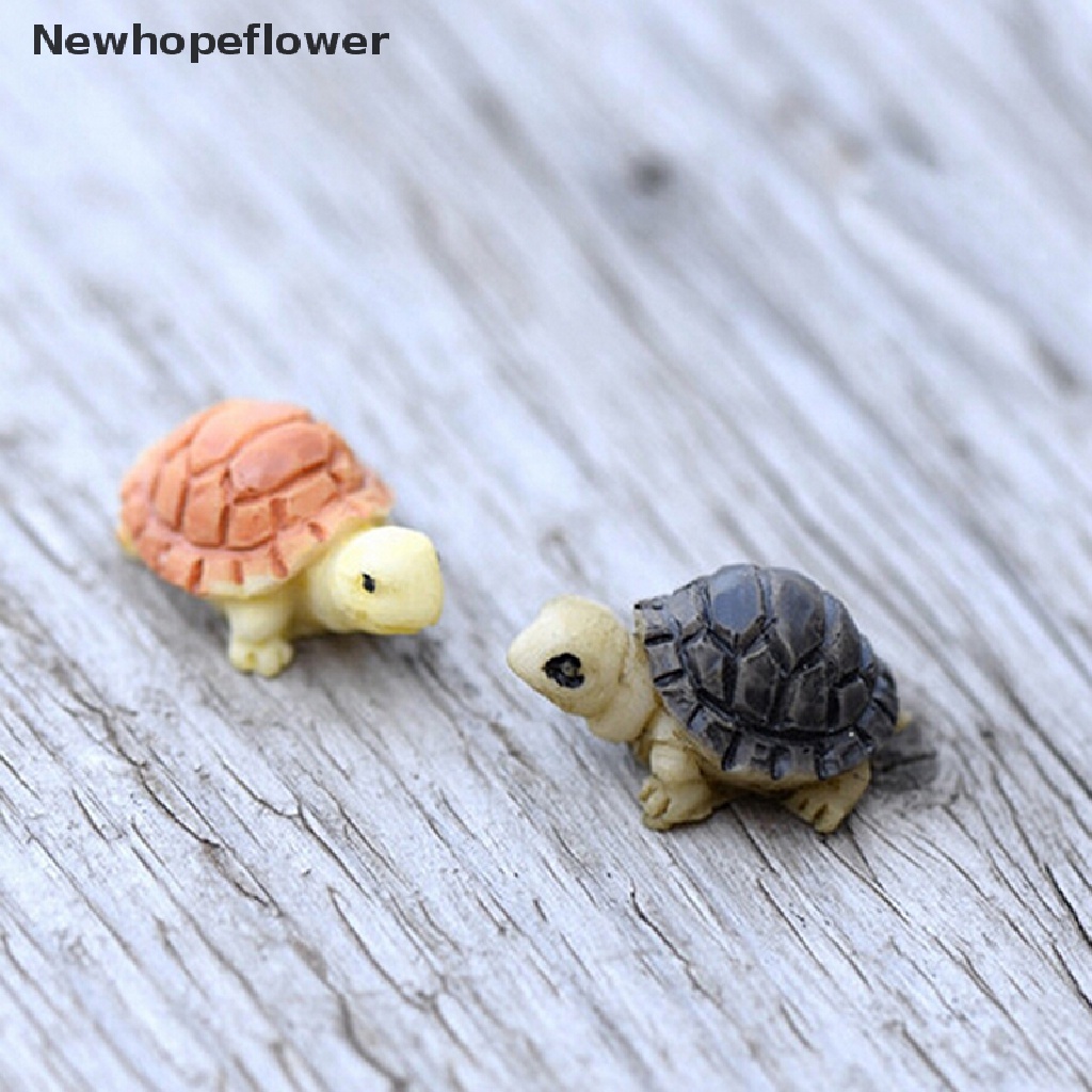 Bộ 2 Mô Hình Rùa mini Trang Trí Sân Vườn