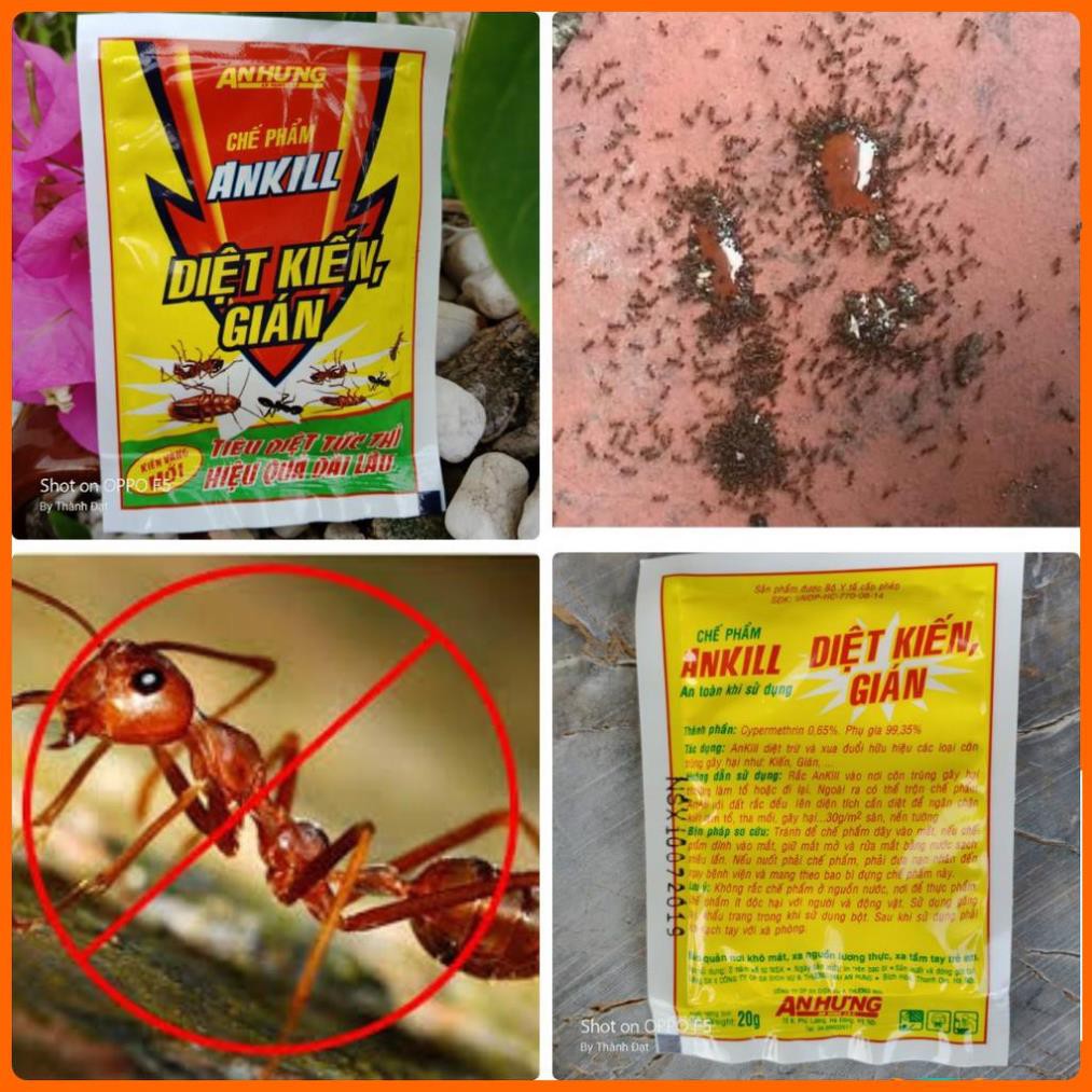 Ankill diệt kiến gián côn trùng - Green Leaf