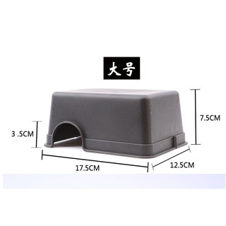 Hộp có lỗ dùng nuôi bò sát sinh sống tiện dụng Thú Cưng