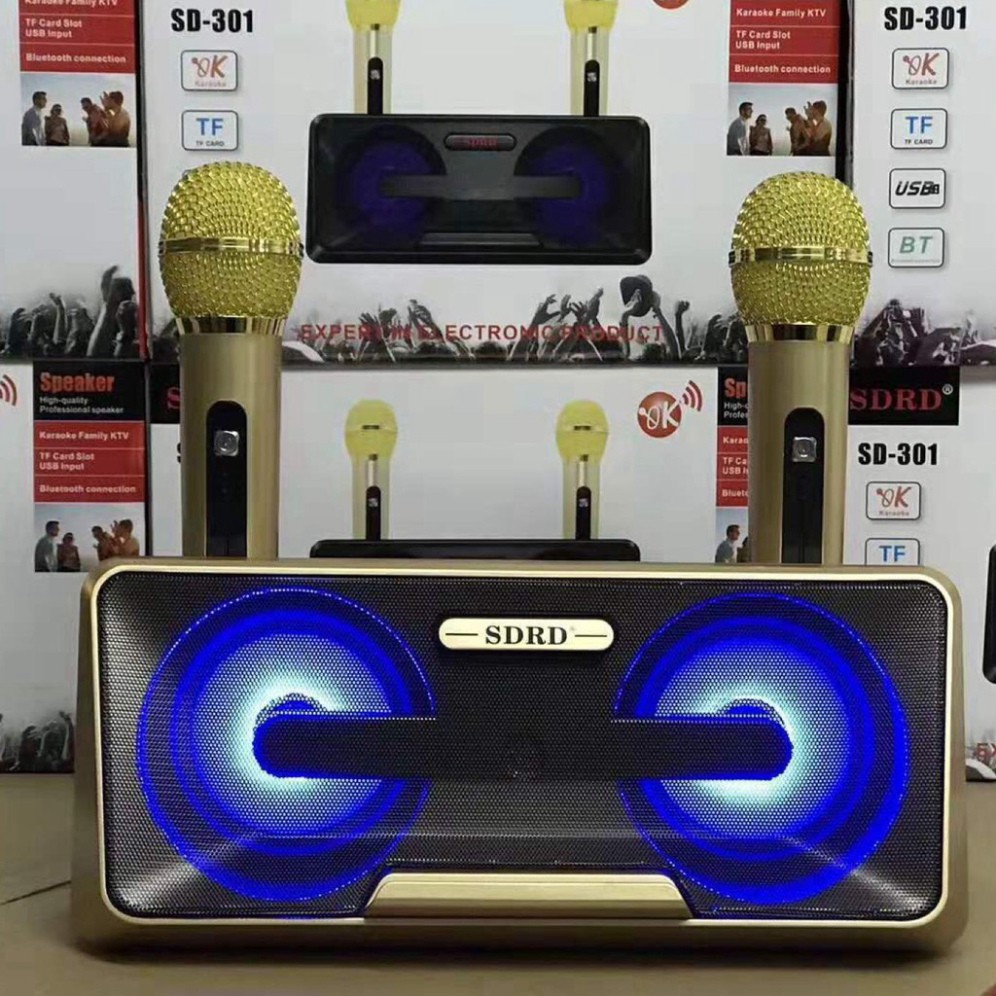 LOA KARAOKE SD-309