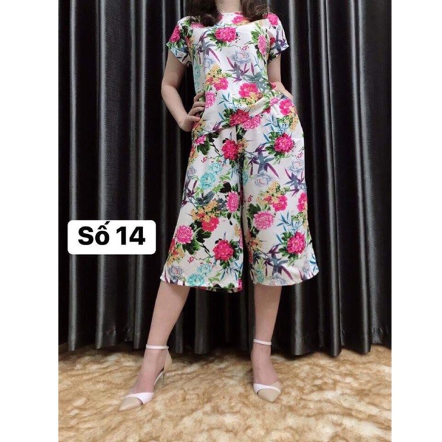Bộ lanh ống sớ có tay cho nữ( màu mới)
