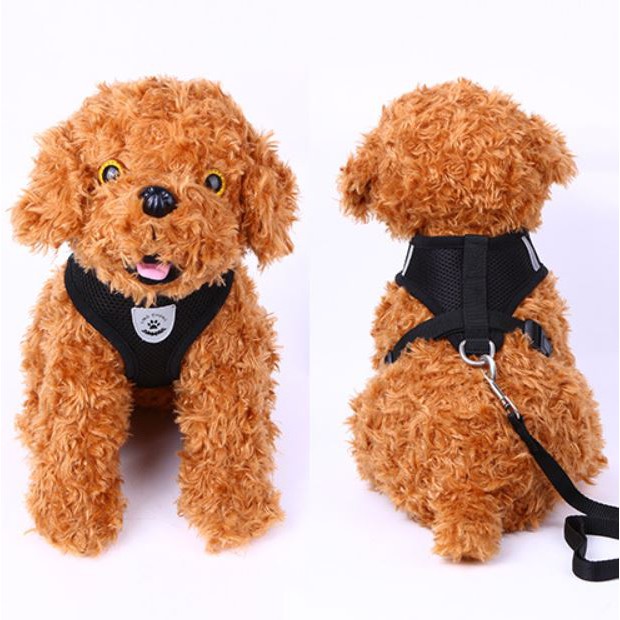 [Mã PET50K giảm Giảm 10% - Tối đa 50K đơn từ 250K] Yếm dắt chó đi dạo có dây lưới mềm mại kèm dây