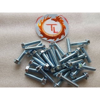 ốc bông 6ly. 1P - 1p5 - 2P - 3P - 4 phân (25 con)