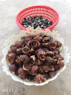 Quả Bồ Hòn đã tách Hạt Huna'shome 1Kg