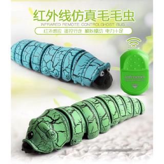 Lễ Tết Quê Hương - Con Sâu Kì Lạ