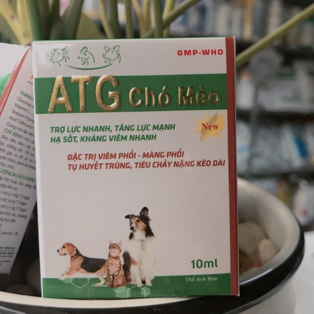 ATG chó mèo- trợ lực nhanh, tăng lực mạnh, hạ sốt, kháng viêm nhanh, đặc trị viêm phổi, màng phổi