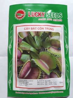 Hạt giống Cây bắt côn trùng Bẫy kẹp