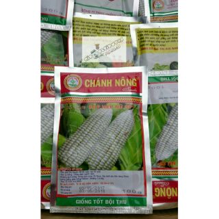 Hạt giống bắp nù 100gr