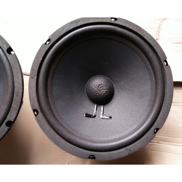 Combo2 củ loa  rời bass rời 25cm từ kép ( 2 sp)