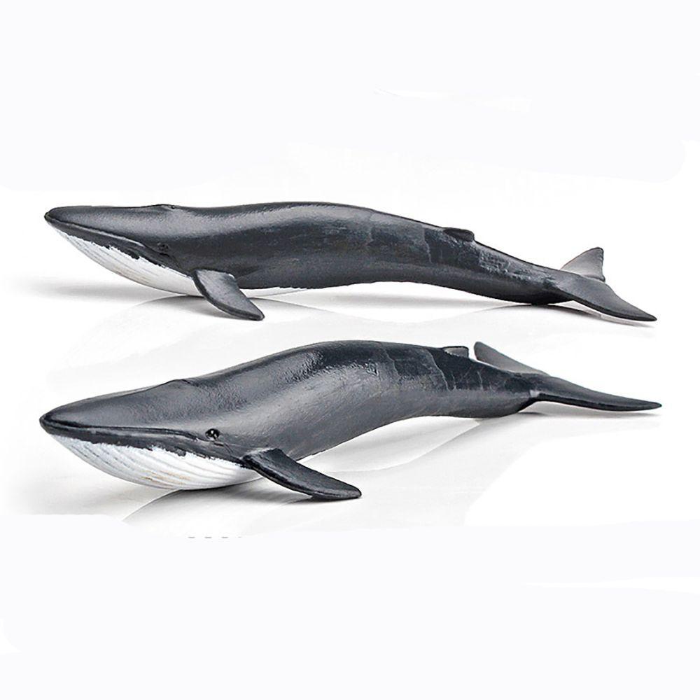 Set 1 / 12 Mô Hình Cá Heo / Cá Voi Bằng PVC Cho Bé