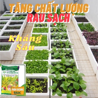 Phân bón Silic Đông Sơn dùng cho rau sạch trồng tại nhà tăng chất lượng và giúp cây trồng ít bệnh