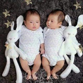 Thỏ papa mama