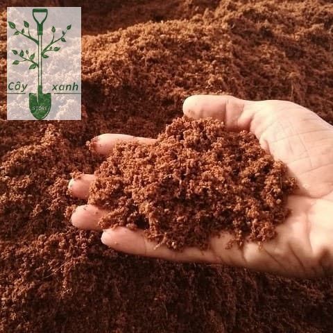 Mùn Dừa, Xơ Dừa Đã Qua Xử Lý SFARM túi 5DM3 - Làm Giá Thể trồng Rau mầm, Dưa lưới, Cây kiểng