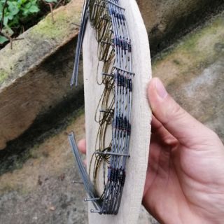 Thòng bẫy cút  chòe than chòe lửa