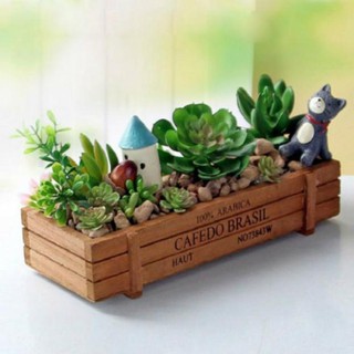 chậu gỗ trồng cây (22*8.5*5)cm