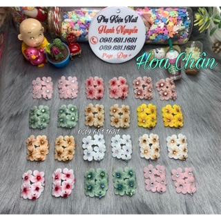 Hoa bột nổi: Set 2 bông Cụm Mai nhỏ trang trí móng chân