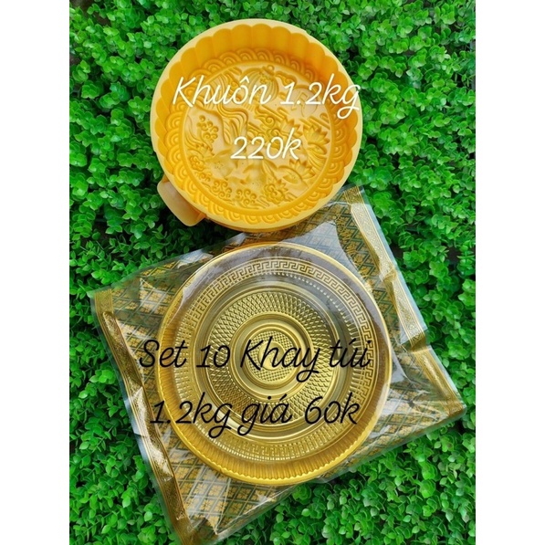Sét khuôn thỏ đại kèm khay túi