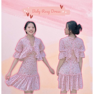 Đầm voan hoa nhí - Baby Rosy Dress