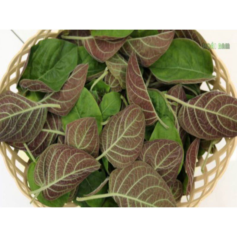 500G Lá Mơ Lông Khô