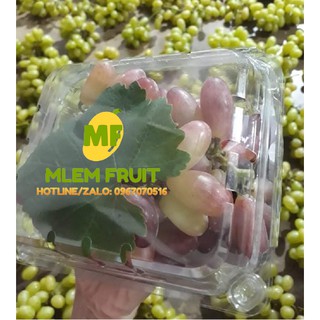 [Chỉ giao Hcm] - [Hỏa tốc] Nho Tươi Hồng Nhật (Ninh Thuận) 500gr - 65k