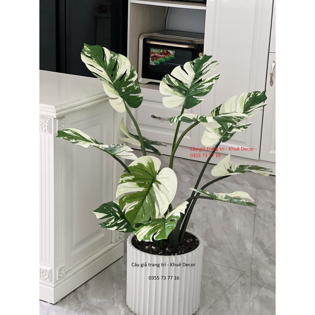 Cây Trầu Bà Nam Mỹ - Monstera Đột Biến - Cây Giả - Cao Cấp