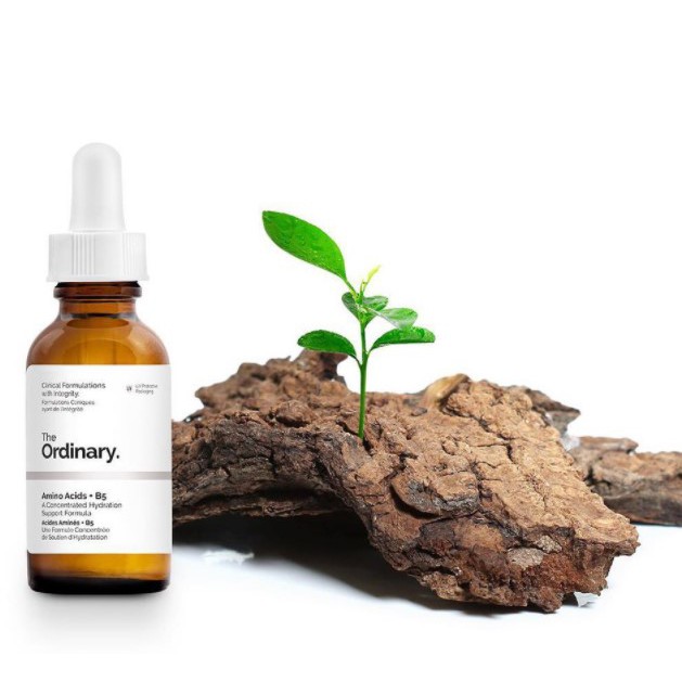 The Ordinary - Amino Acids + B5 serum cấp nước dưỡng ẩm