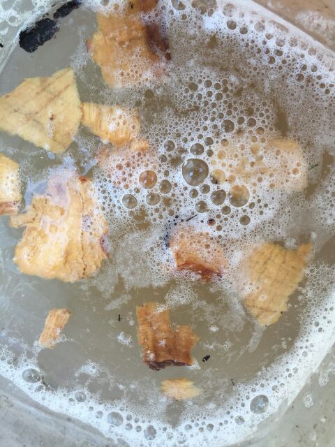 Đường thốt nốt không hóa chất An Giang (được bảo quản bằng gỗ sến) | BigBuy360 - bigbuy360.vn