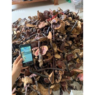[ Giá tại xưởng ] -  NẤM LIM XANH RỪNG ( Chuẩn Quảng Nam )Handmade