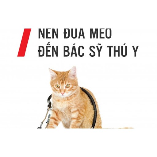 1.5kg(❁´◡`❁)ROYAL CANIN URINARY S/O - THỨC ĂN CHO MÈO BỊ SỎI THẬN  là thực phẩm chức năng được nghiên cứu khoa học