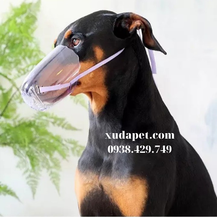 [MUA NHIỀU GIẢM GIÁ] Rọ Mõm Cho Mèo Chống Cắn Liếm Thoáng Khí Cho Mèo Xudapet, Nhựa PP cao cấp - Xudapet - SP000621