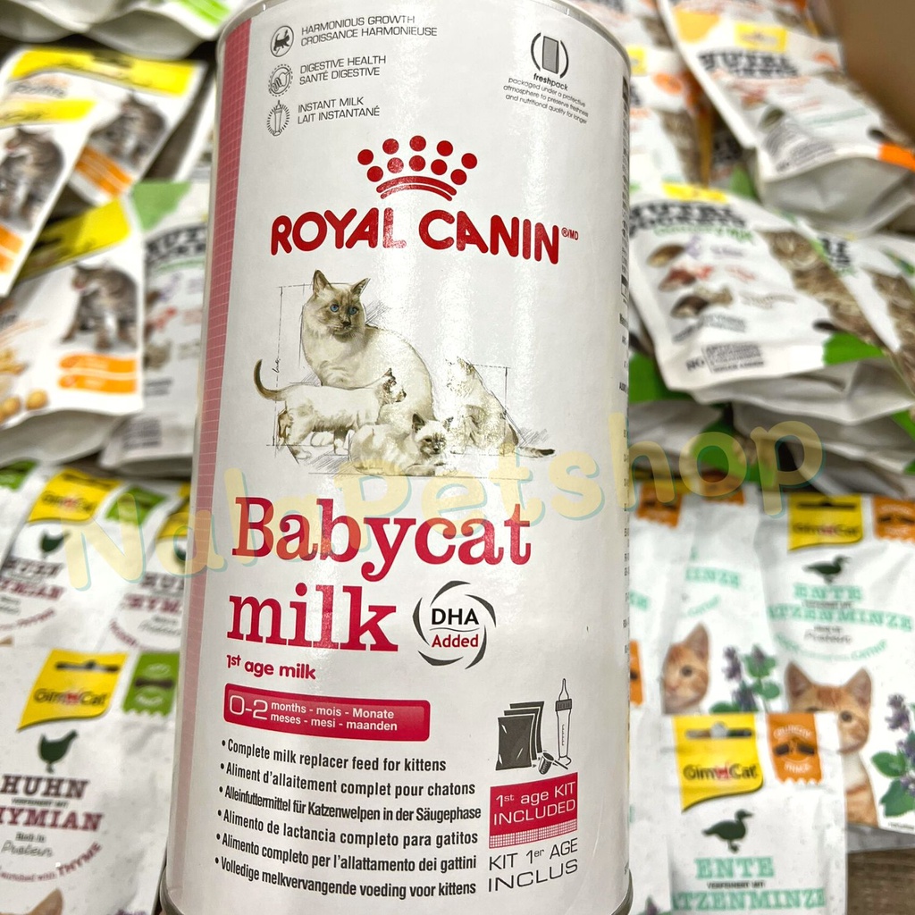 Sữa ROYAL CANIN nhập ĐỨC cho mèo mẹ mang thai, mèo con sơ sinh, thay thế sữa mèo mẹ 300g