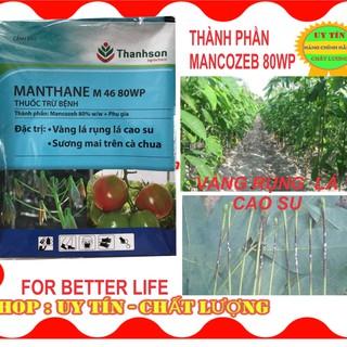 Mancozeb Xanh  MANTHANE M46 80WP Thuốc Trừ Bệnh phổ rộng trên cây trồng Gói 1kg.