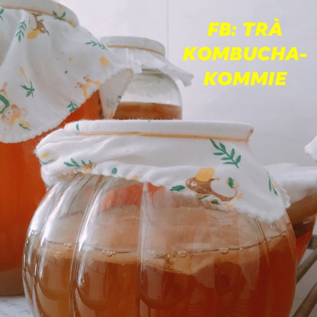 Trà Kombucha- Kommie