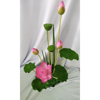 Chậu sen 100% đất sét cao trên 30cm