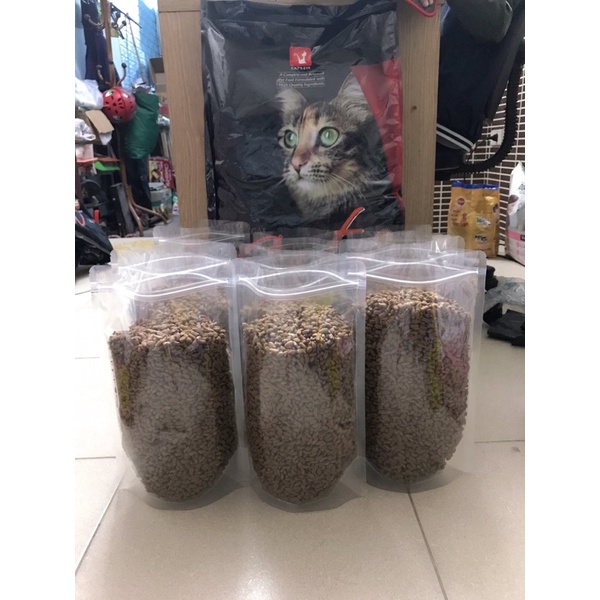 Combo 5kg hạt thức ăn mèo Cateye, hạt dinh dưỡng Hàn Quốc dành cho mèo mọi lứa tuổi Donald Pet Shop