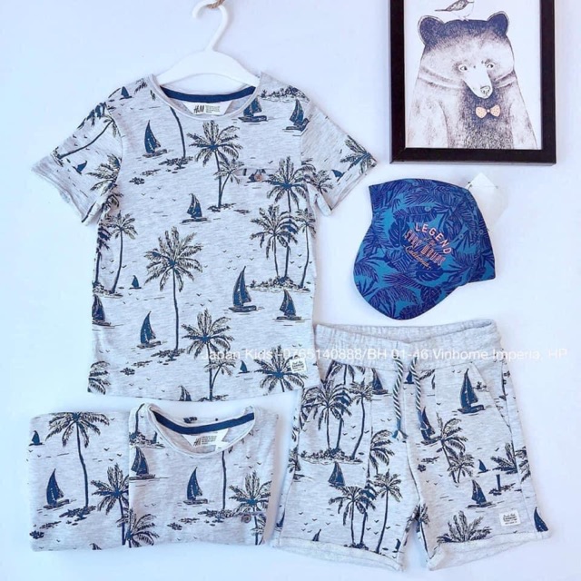 Set bộ cây dừa xám H&m