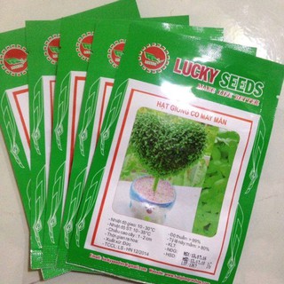 Hạt giống Cỏ may mắn - gói 1gr - HG1