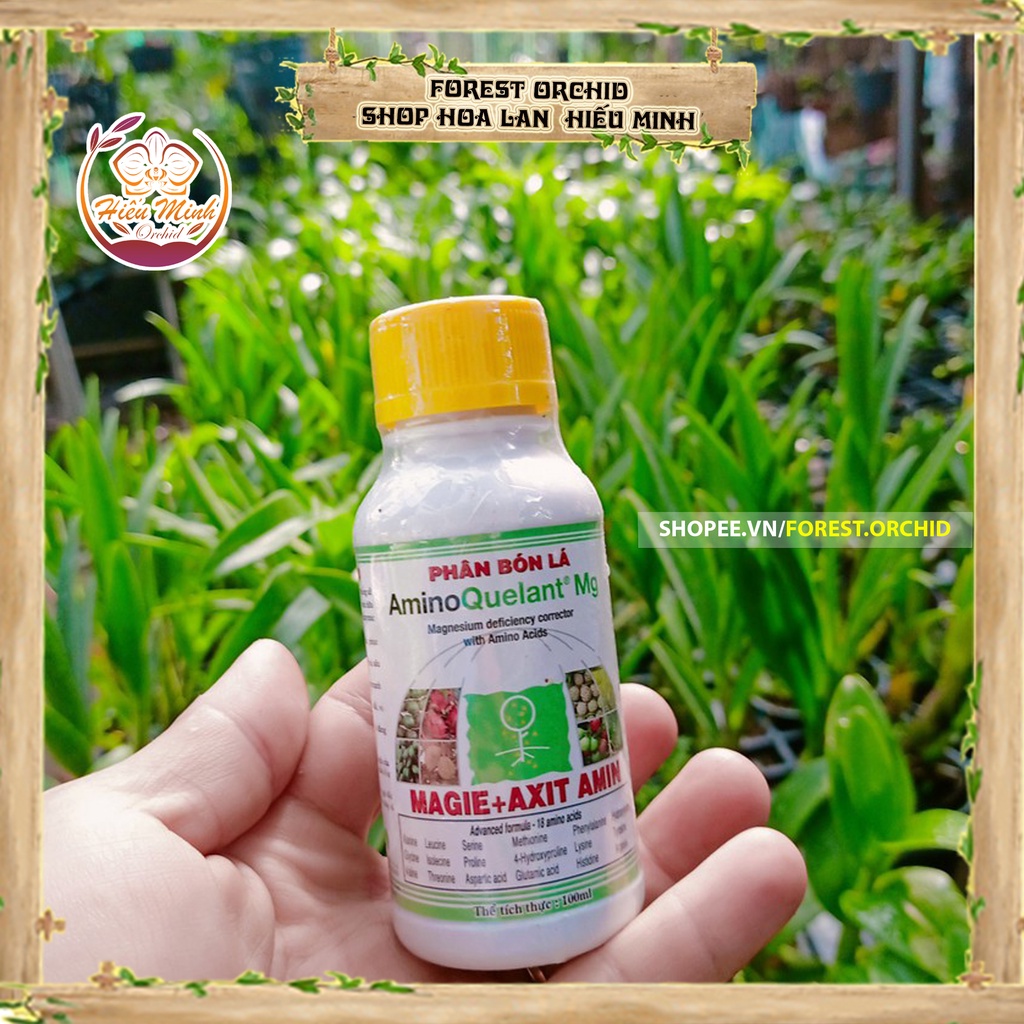 Amino Quelant Fe Phân bón Sắt là thuốc, Hoa Lan loại TỐT, làm cho cây cảnh và hạt giống, Bền, Đẹp, Xanh