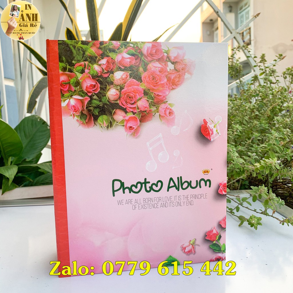 Album đựng 304 ảnh 10x15 bìa giấy cứng | BigBuy360 - bigbuy360.vn