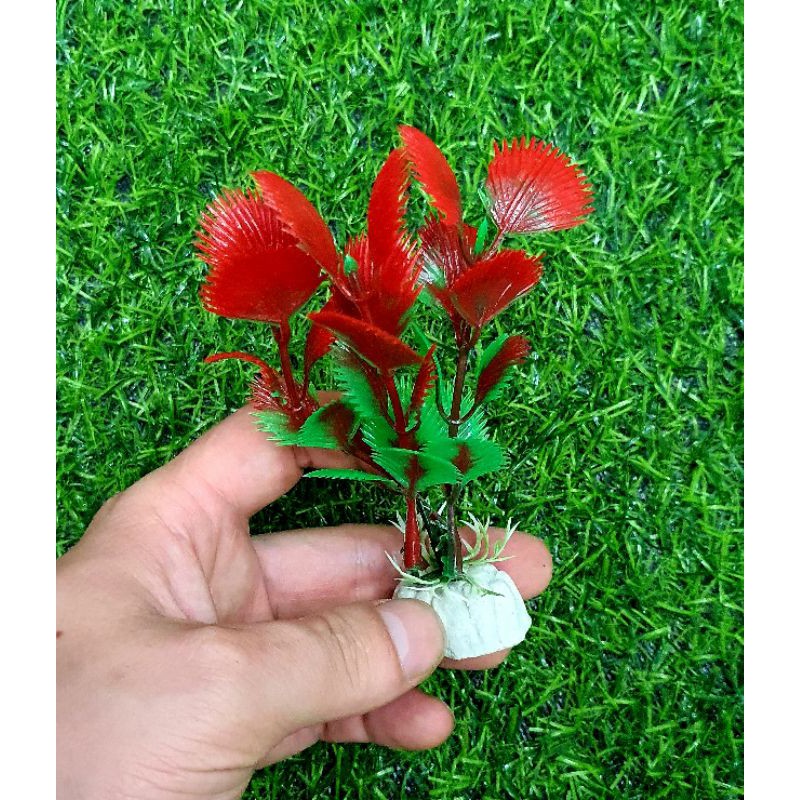 Cây nhựa trang trí bể cá - trang trí tiểu cảnh siêu đẹp bụi cao 10cm giá rẻ nhất Việt Nam
