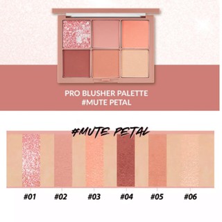 [100% AUTH] Bảng Phấn Má 6 Ô Clio Pro Blusher Palette 19,8g