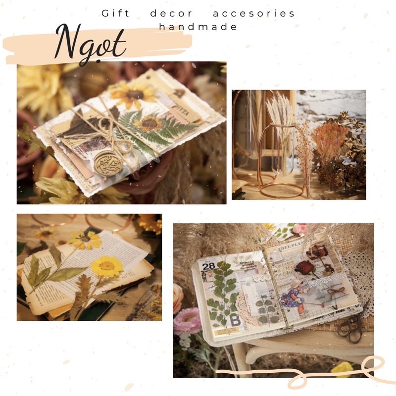 Tập 6 Sticker Dried Flower Hoa Lá Bản To