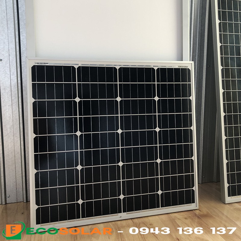 Pin năng lượng mặt trời mono 60w - tặng 1 cặp jack mc4 đơn