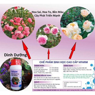 Dinh Dưỡng - Chế phẩm sinh học danh cho hoa hồng - Nhà Nông Việt