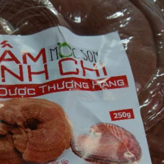 [Mã GROSALE2703 giảm 8% đơn 250K] Nấm linh chi đỏ còn nguyên bào tử Mộc Sơn túi 250g 500g | BigBuy360 - bigbuy360.vn