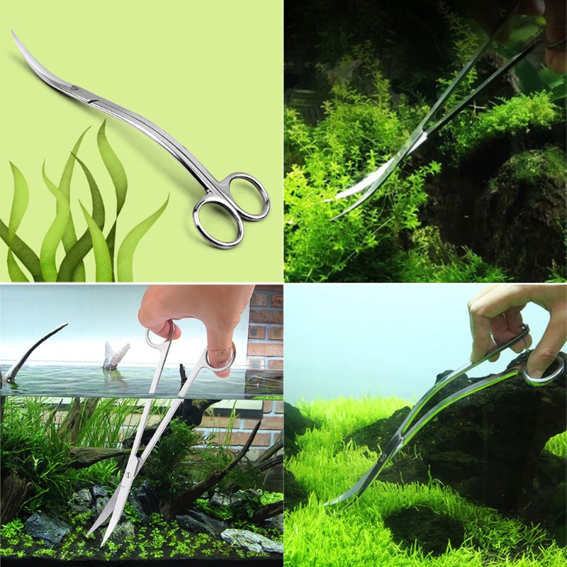 Kéo cắt tỉa cây thủy sinh dạng cong bằng thép không gỉ 9.8&quot;